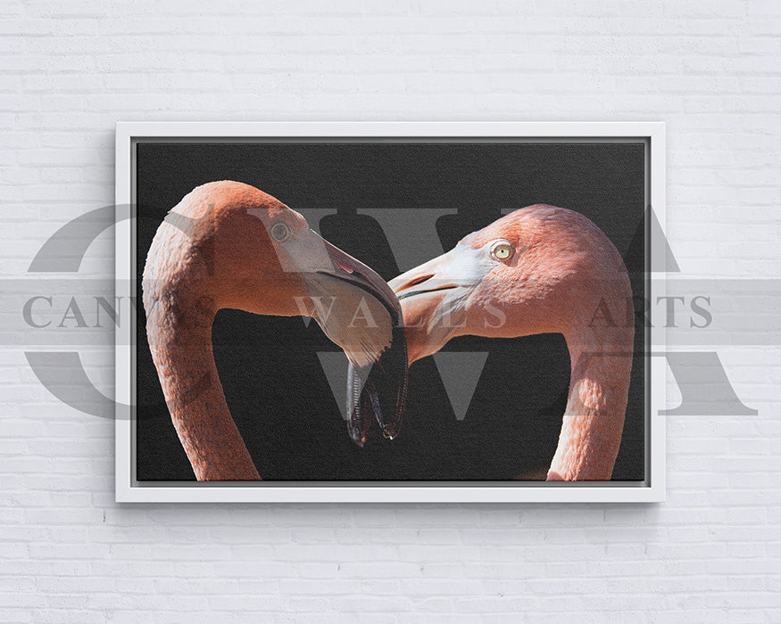 Flamingo Kissing Canvas Wall Art Bird Poster Print