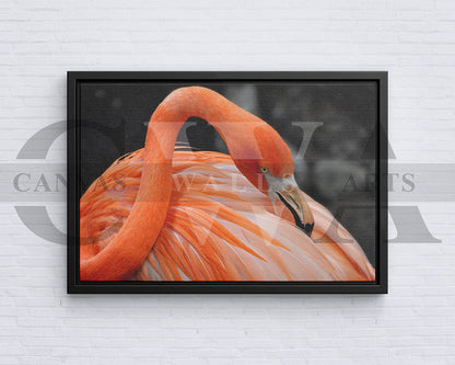Flamingo Canvas Painting Bird Poster Print