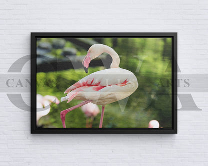 Flamingo Canvas Wall Arts Bird Poster Print
