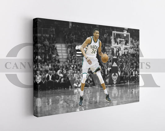 Giannis Antetokounmpo Black & White Canvas Art Basketball Canvas Wall Art