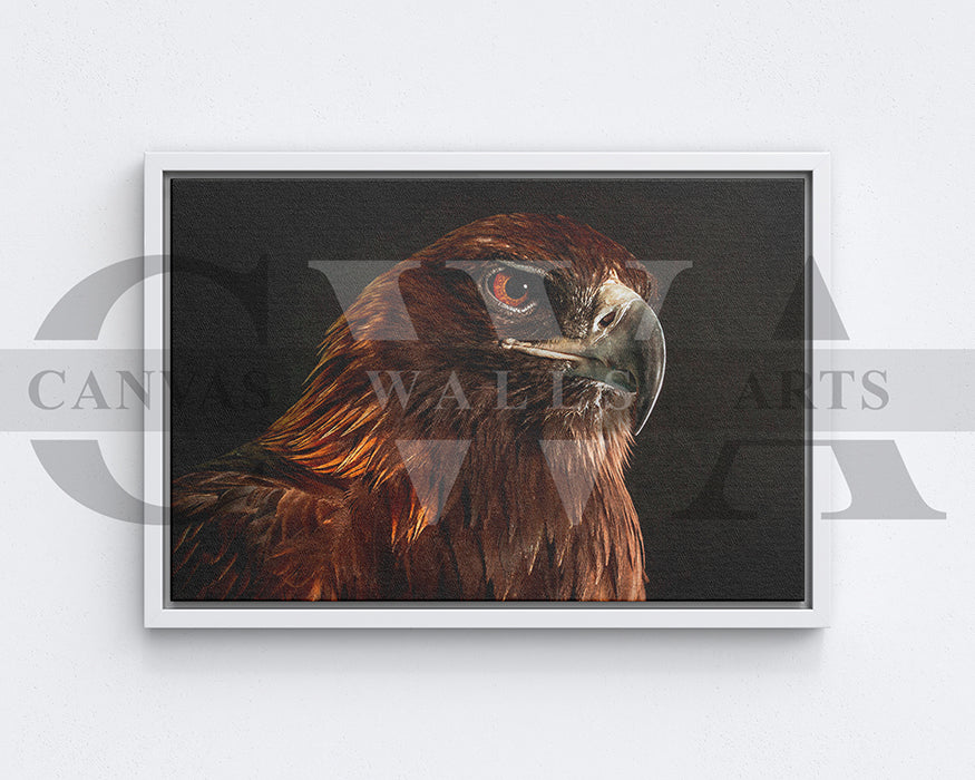Golden Eagle Canvas Wall Art Bird Poster Print