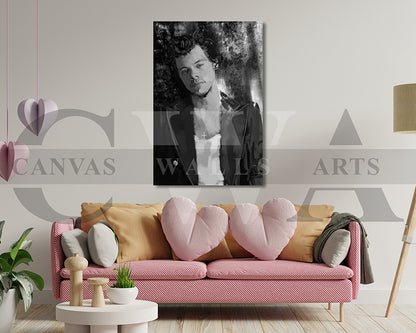 Harry Styles Canvas Wall Art Abstract Music Poster