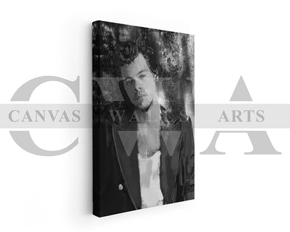 Harry Styles Canvas Wall Art Abstract Music Poster