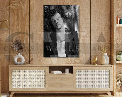 Harry Styles Canvas Wall Art Abstract Music Poster