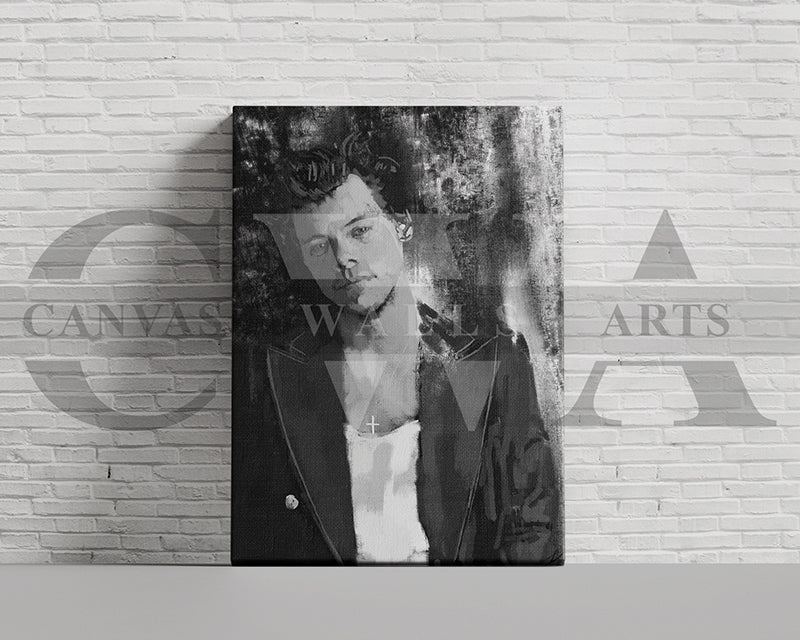 Harry Styles Canvas Wall Art Abstract Music Poster