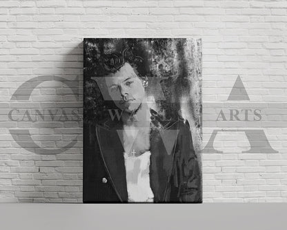 Harry Styles Canvas Wall Art Abstract Music Poster