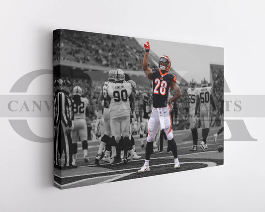 Joe Mixon Black & White Canvas Art American Football Canvas Wall