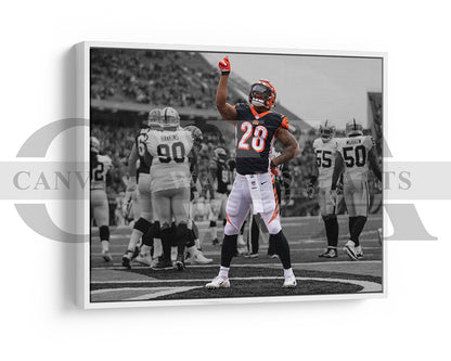 Joe Mixon Black & White Canvas Art American Football Canvas Wall