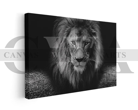 Lion Black and White Canvas Wall Art Animal Poster Print