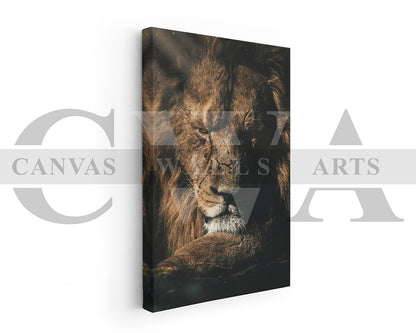 Lion Canvas Wall Art Animal Poster Prints