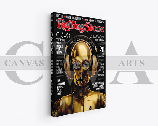 Rolling Stone Canvas Wall Art