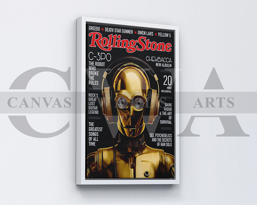 Rolling Stone Canvas Wall Art