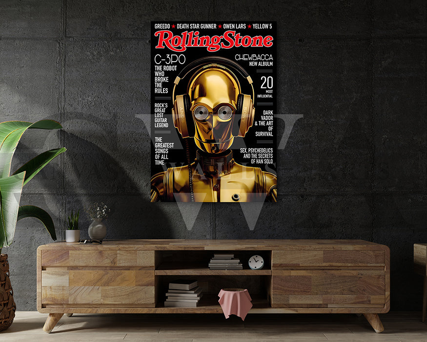 Rolling Stone Canvas Wall Art