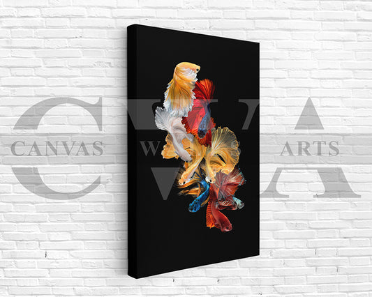 Siamese Fighting Fish Canvas Wall Art Animal Poster Print