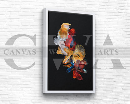 Siamese Fighting Fish Canvas Wall Art Animal Poster Print